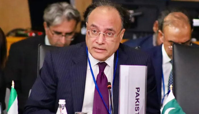 IMF معاہدہ اسی ہفتے، ایک ارب 24 کروڑ ڈالر ملنے کی راہ ہموار ہوگی، سال کے اختتام تک گرین پانڈا بانڈ جاری کریں گے، وزیر خزانہ