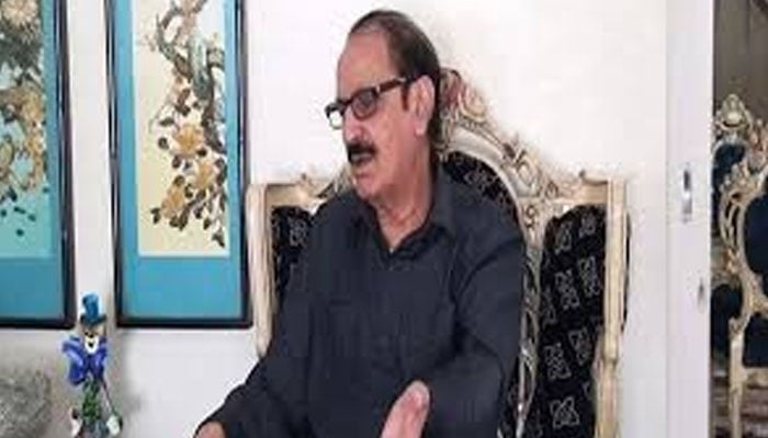 افغانستان اور بھارت مسلسل پاکستان کے خلاف نبرد آزما، ضیاء عباس