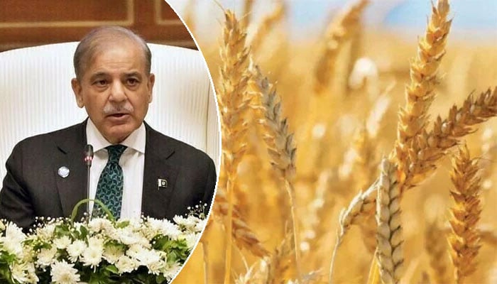 قومی گندم پالیسی کی منظوری، امدادی قیمت 3500 روپے فی من مقرر