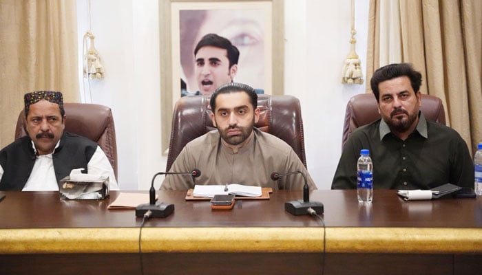 راول شرجیل میمن سندھ میمن اتحادکے کو چیئرمین منتخب