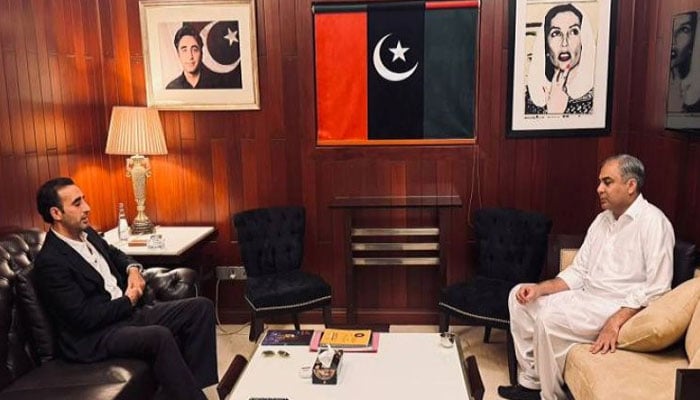 بلاول بھٹو سے محسن نقوی کی ملاقات، سیاسی صورتحال، امن و امان پر تبادلہ خیال