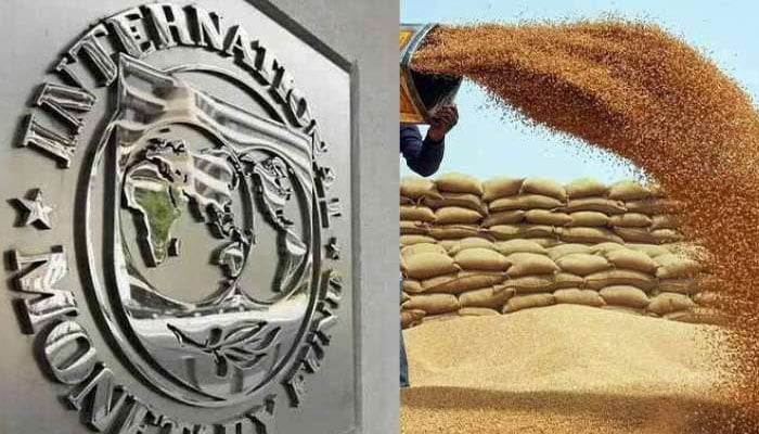 IMF کا گندم پالیسی پر اعتراض، پاکستان نے تحفظات دور کردیئے