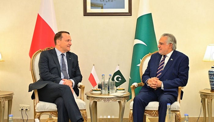 پاک فضائیہ کی بنیاد رکھنے میں پولینڈ کا اہم کردار ہے، اسحاق ڈار