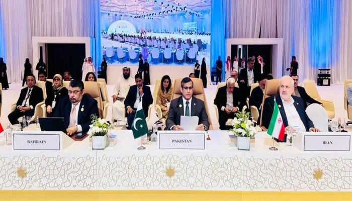 آبی مسائل و وسائل، او آئی سی وزرا کا اجلاس پاکستان تیسری واٹر کونسل کا رکن منتخب