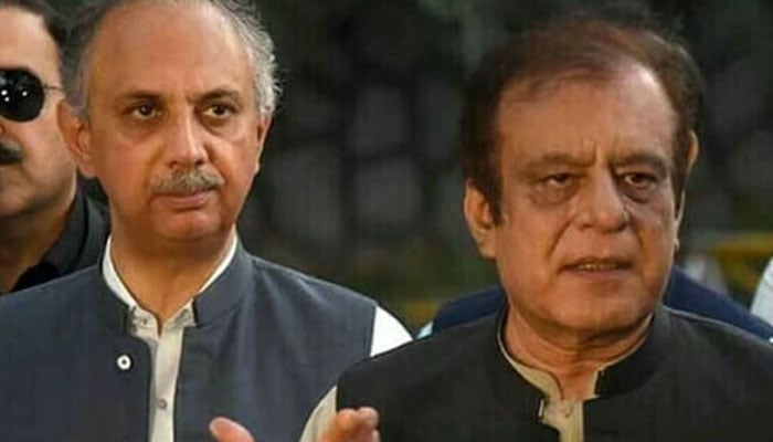 عمر ایوب اور شبلی فراز کی نااہلی کیخلاف اپیلیں  آئینی بنچ میں سماعت کیلئے مقرر
