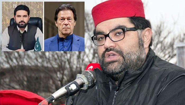 سہیل آفریدی عمران خان ملاقات کی اجازت نہ دینا سازش، ایمل ولی