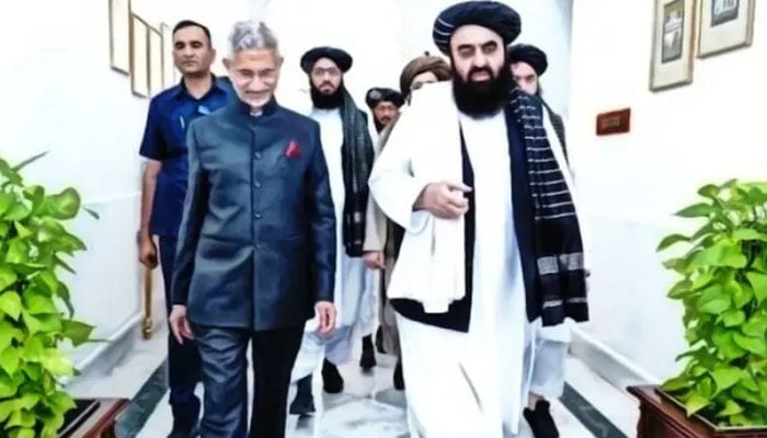 کابل کے پیچھے دہلی، بھارت ایک ارب ڈالر کی آفر دے چکا، تجزیہ کار