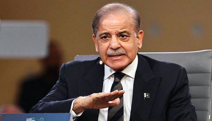 پاکستان کو قدرتی آفات سے 130 ارب ڈالر کا نقصان ہوا، وزیراعظم