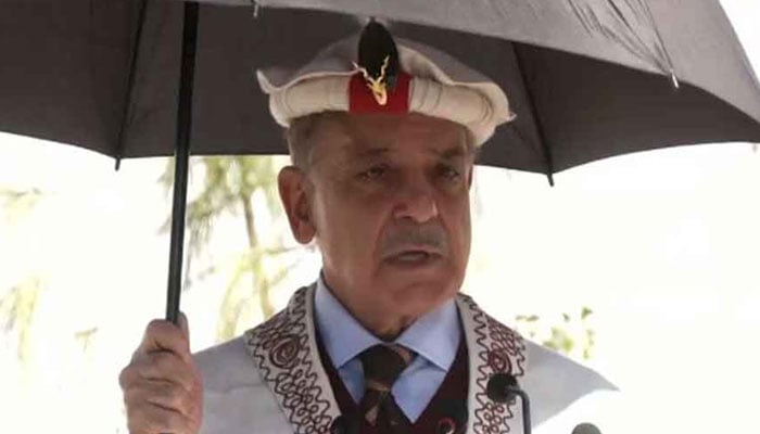 وزیراعظم کی وزیراعلیٰ KP کو پھر پیشکش، آئیں مل کر دہشت گردی کا خاتمہ کریں، امید ہے سہیل آفریدی اس پیشکش کو قبول کریں گے، شہباز شریف