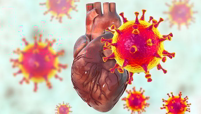 کووِڈ 19 سے دل کے دورے کا خطرہ تین گنا بڑھ جاتا ہے، نئی تحقیق