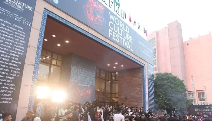 ورلڈ کلچر فیسٹیول، اعضاء کی شاعری، مصوری اور موسیقی کا جادو