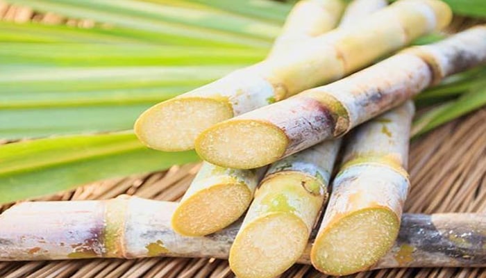 سیلاب، کرشنگ سیزن 26-2025 میں ایک ملین ٹن سے زیادہ چینی بننے کا تخمینہ