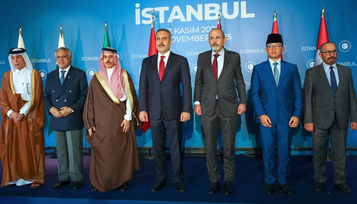 غزہ کا مستقبل فلسطینیوں کے خود مختار انتظام کے تحت ہونا چاہئے، مسلم ممالک کا اعلان