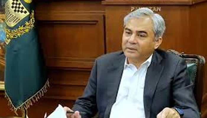 محسن نقوی نے وزیر مملکت طلال چوہدری کے ساتھ میچ دیکھا