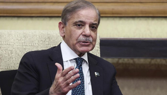 27 ویں ترمیم پر اتفاق رائے کیلئے وزیراعظم متحرک، اتحادیوں سے مشاورت