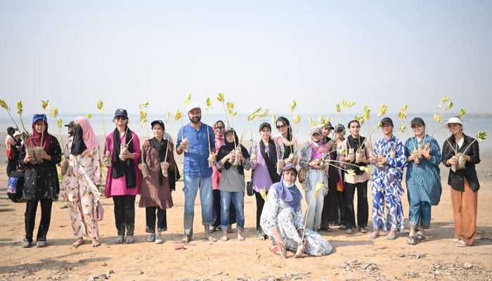 جامعہ کراچی کے طلبہ کی کیدر وجزیزہ پر 2000 مینگرووز کی شجرکاری