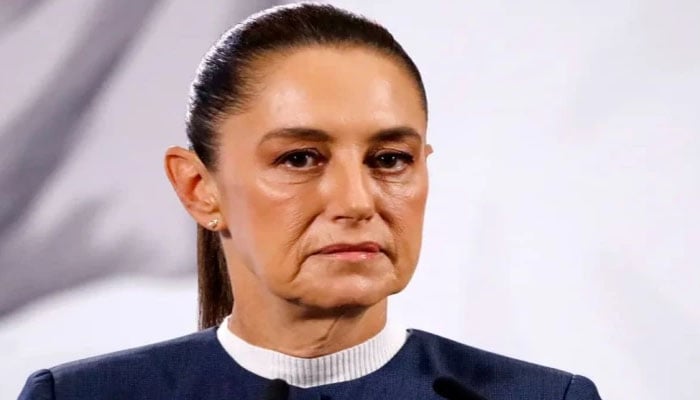 عوامی تقریب میں میکسیکو کی صدر کے ساتھ نازیبا حرکت کرنے والا گرفتار