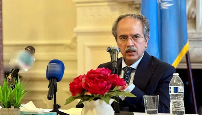 اقوامِ متحدہ میں پاکستان کے مستقل مندوب عاصم افتخار احمد—فائل فوٹو