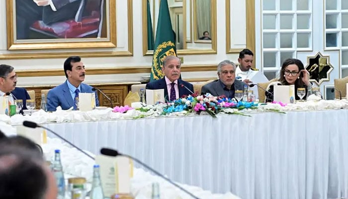 شہباز شریف کا حکومتی، اتحادی جماعتوں کے سینیٹرز کے اعزاز میں عشائیہ