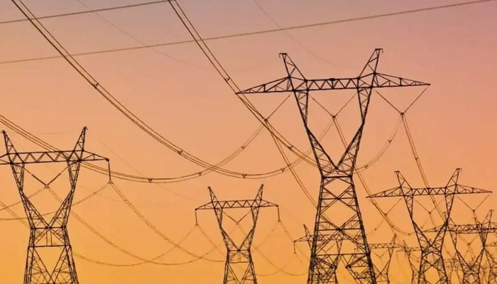 بجلی کی اصلاحات یا طاقت پر قبضہ؟ PPMC کے قیام پر ہنگامہ