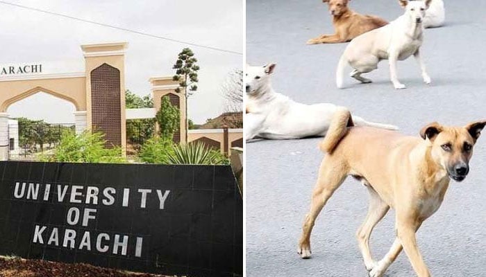 —فائل فوٹو