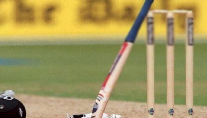 ویمنز ون ڈے: انونسیبلز اور اسٹارز کامیاب