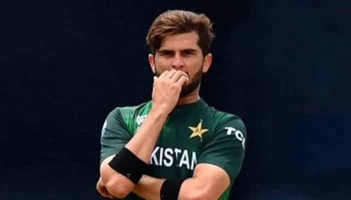 بابراعظم اور رضوان نے ہمیشہ پرفارمنس دی، کپتان شاہین