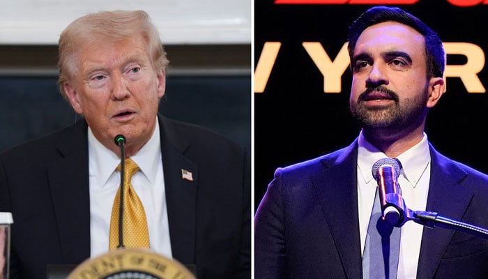 ٹرمپ کا زہران ممدانی سے ملاقات کرنے کا ارادہ