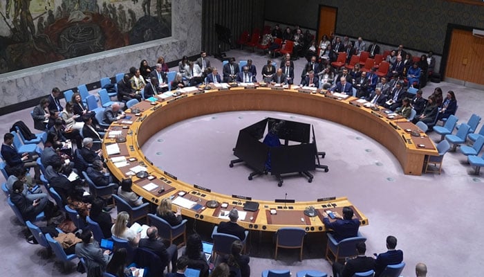 سلامتی کونسل نے غزہ امن منصوبے کی منظوری دیدی، پاکستان سمیت 13 اراکین کی حمایت، چین اور روس کے تحفظات، ووٹنگ سے غیرحاضر رہے