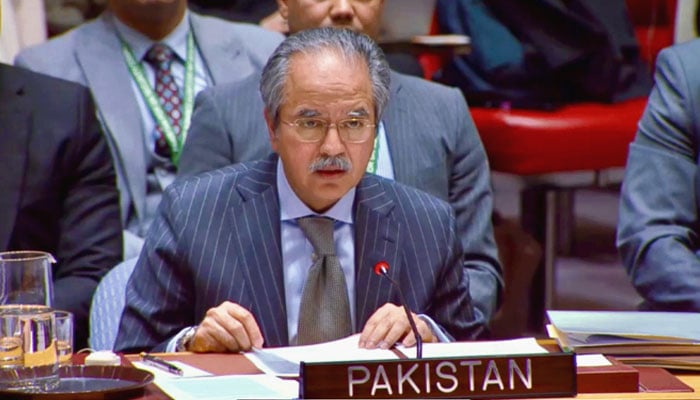 جنگ بندی برقرار رکھنے اور اسرائیلی فورسز کے مکمل انخلا کیلئے حمایت کی، پاکستانی مندوب