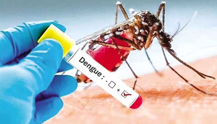 سندھ میں ڈینگی سے متعلق یومیہ رپورٹ جاری، مریضوں کی تعداد 155 ہوگئی