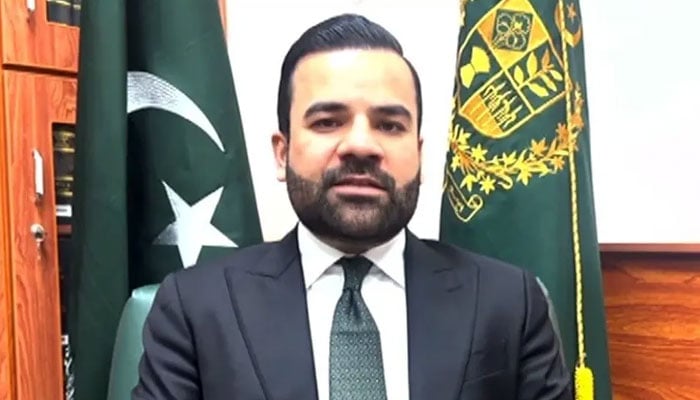 ججز کی آزادی پر کسی قسم کا سمجھوتہ نہیں کیا گیا، بیرسٹر عقیل ملک