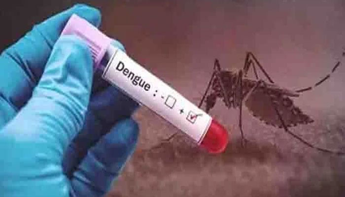 ڈینگی کیسز میں اضافہ ریکارڈ، سرکاری اسپتالوں میں 63، نجی میں 52 مریض رپورٹ