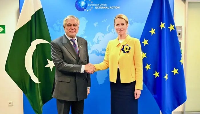 جی ایس پی پلس: پاکستان، یورپ تجارت و سرمایہ کاری میں اضافے پر متفق