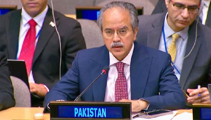 پاکستان نے سلامتی کونسل کی مستقل نشستوں میں اضافے کی مخالفت کردی