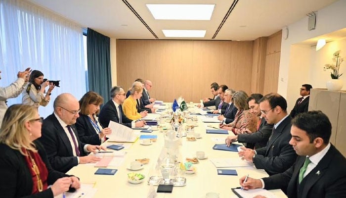 افغانستان دہشتگردی کے خاتمے کیلئے عملی اقدامات کرے، پاکستان، یورپی یونین، کابل کی بگڑتی معاشی صورتحال پر اظہار تشویش