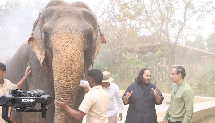 امبانی کے چڑیا گھر کی تحقیقات بھارت میں جانوروں کی در آمد پر پابندی کی سفارش واپس