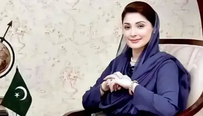 ضمنی الیکشن ریفرنڈم ثابت، قیدی نمبر 804 کو گھر میں گھس کر شکست دی، مریم نواز