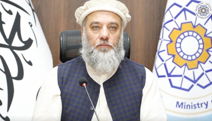 پاکستانی سرحدی پابندیوں سے ہمارے تاجروں کو سو ملین ڈالر سے زائد نقصان ہوا، افغان وزیر