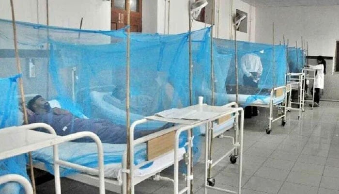 ڈینگی کیسز میں اضافے کے باوجود صورتحال کنٹرول میں ہے، ڈی جی ہیلتھ