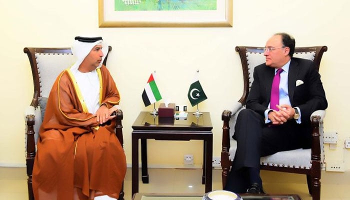 یومیہ 500 ویزے پروسیس ہورہے ہیں، امارت کے نئے سفیر کی وزیر خزانہ کو بریفنگ، ویزے نہ دیئے جانے کی رپورٹ مسترد