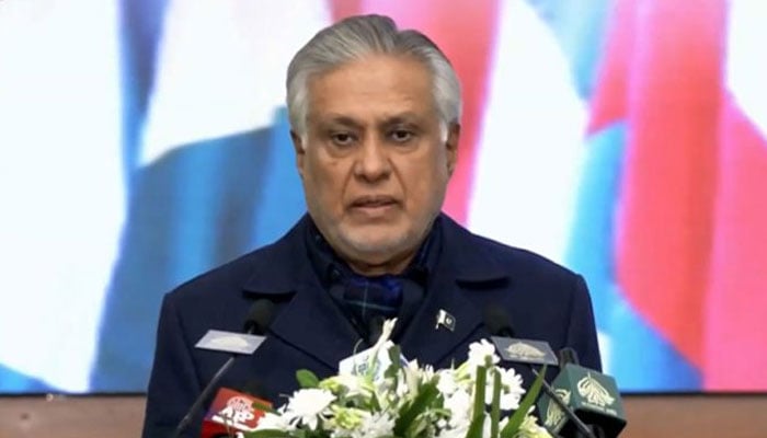 پاکستان سے غداری کرنے والے نشان عبرت بنے، نائب وزیراعظم