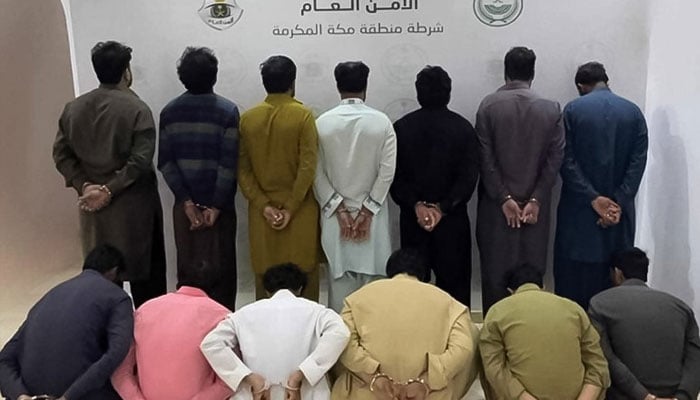 سعودی عرب میں مویشیوں کی چوری کے الزام میں 13 پاکستانی گرفتار