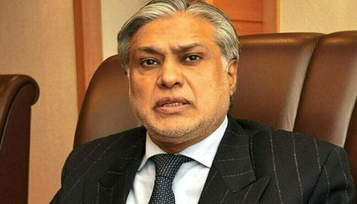 نائب وزیراعظم نے عاصم منیر کو چیف آف ڈیفنس سروسز قرار دیدیا