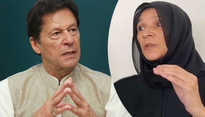 عمران صحتمند، افواہیں دم توڑ گئیں، اہلیہ اور ہمشیرہ سے ملاقات، جسمانی طور پر ٹھیک ہیں، عظمیٰ خان، جیلر کی شرط پر پریس کانفرنس نہیں کی، رانا ثناء