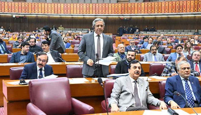 پارلیمنٹ کا مشترکہ اجلاس، قومی کمیشن برائے اقلیتی حقوق بل منظور، یہ اقلیتوں کے حقوق کا بل ہے، قیدی نمبر 804 کو کچھ نہیں ہوگا، وزیر قانون