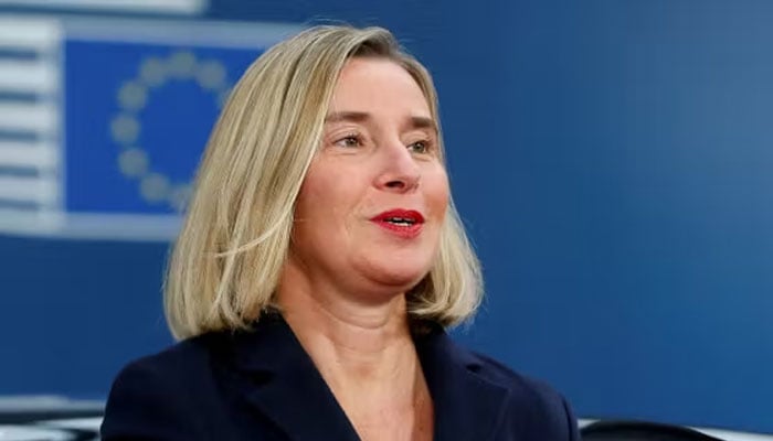 فراڈ تحقیقات ،یورپی یونین کی خارجہ پالیسی کی سابق سربراہ زیر حراست