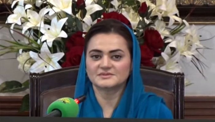 بسنت آرڈیننس 8 مہینے اسٹیک ہولڈرز سے مشاورت کے بعد پاس کیا، سینئر وزیر مریم اورنگزیب