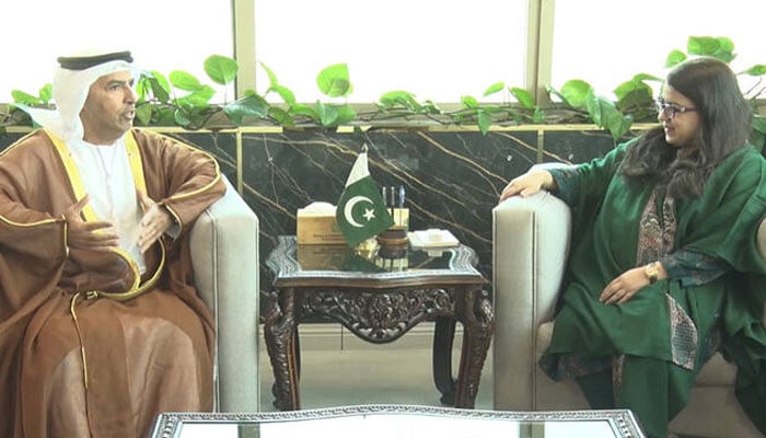 پاکستان اور یو اے ای میں آئی سی ٹی اور ٹیکنالوجیز میں تعاون بڑھانے پر اتفاق