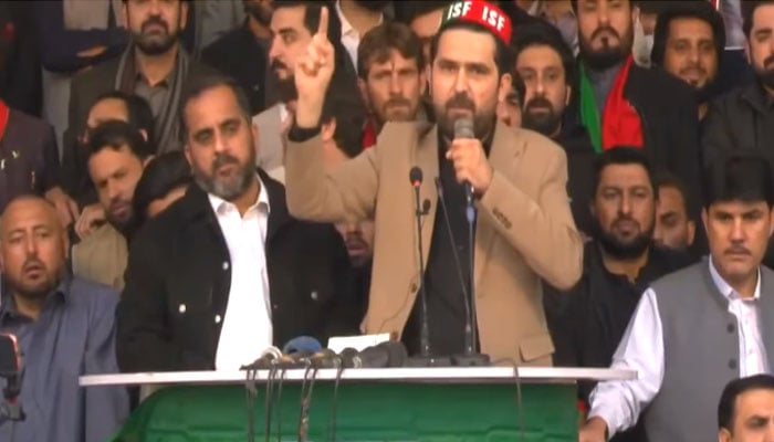 سیاسی کوے ہمارا کچھ نہیں بگاڑ سکتے، تحریک انصاف